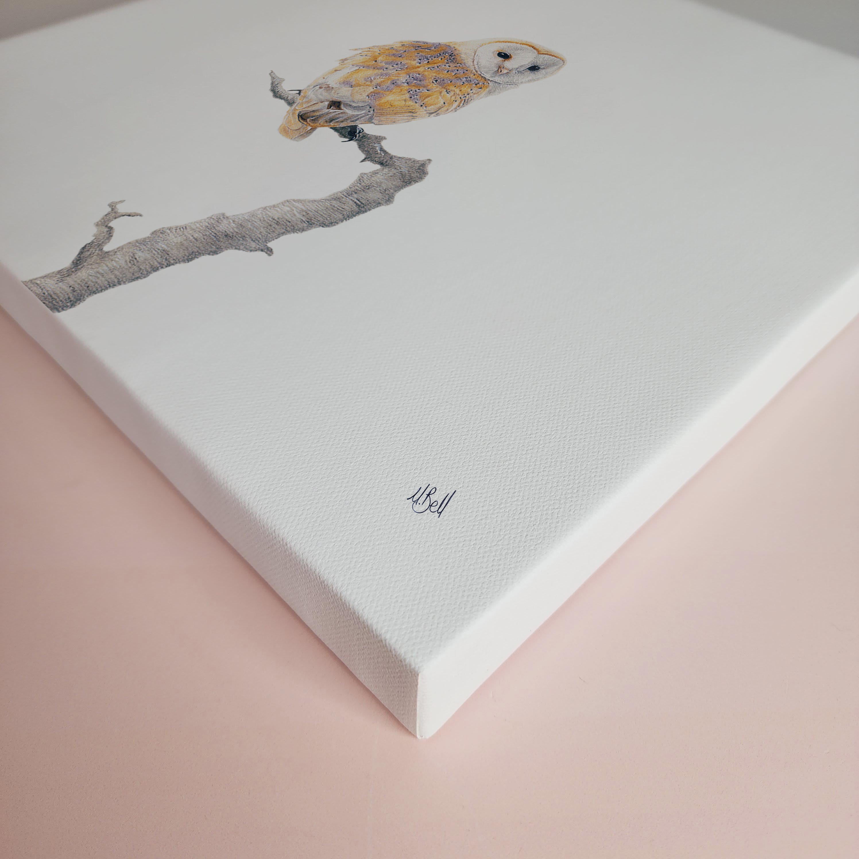 South African bird artwork on canvas, stretched on wooden frame by wildlife artist Matthew Bell of a Barn Owl in the Kruger National Park