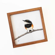 Kiaat wood framed miniature artwork of a Cape Batis, part of wildlife artist Matthew Bell's birds of South Africa gallery