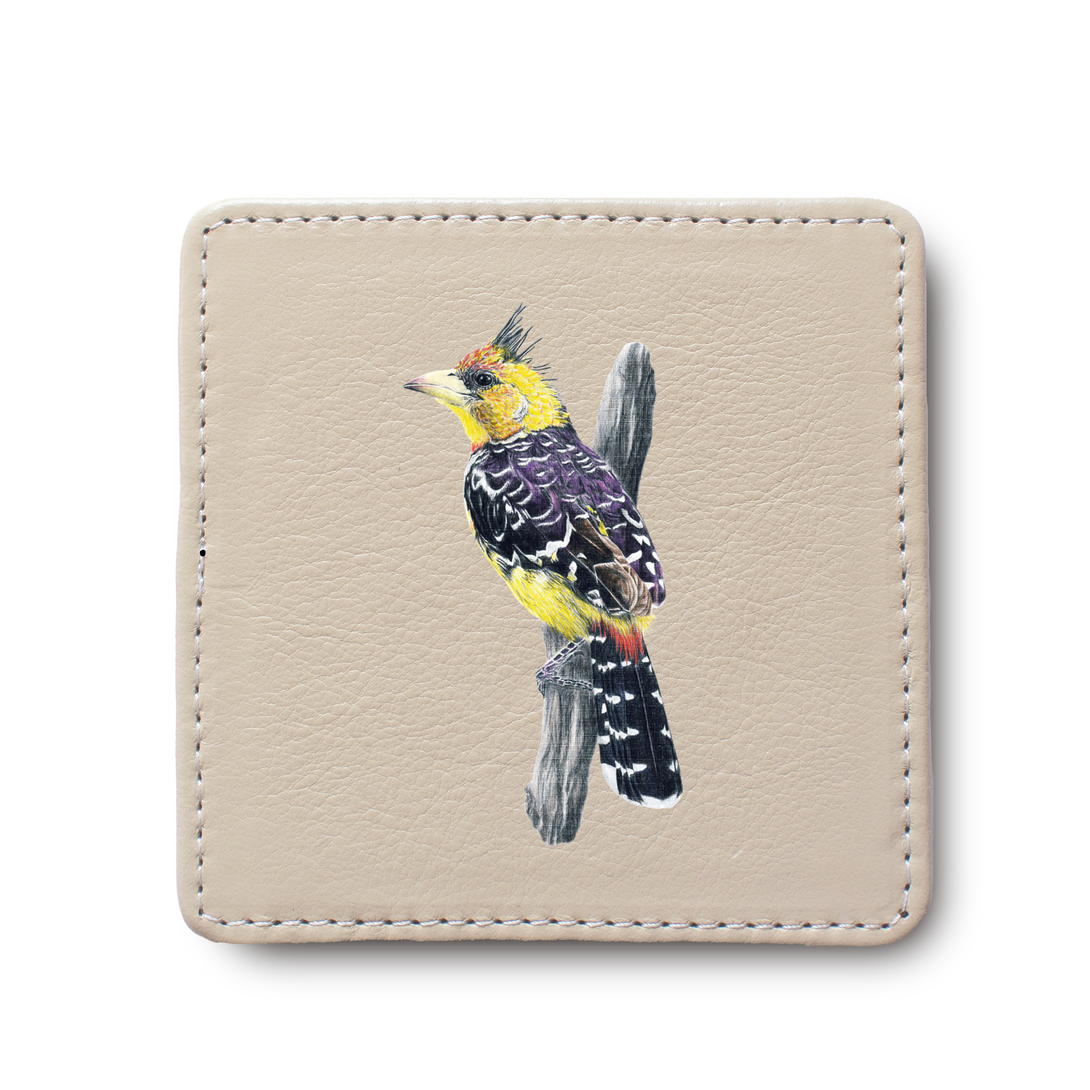 Crested Barbet leather coaster by South African wildlife artist Matthew Bell