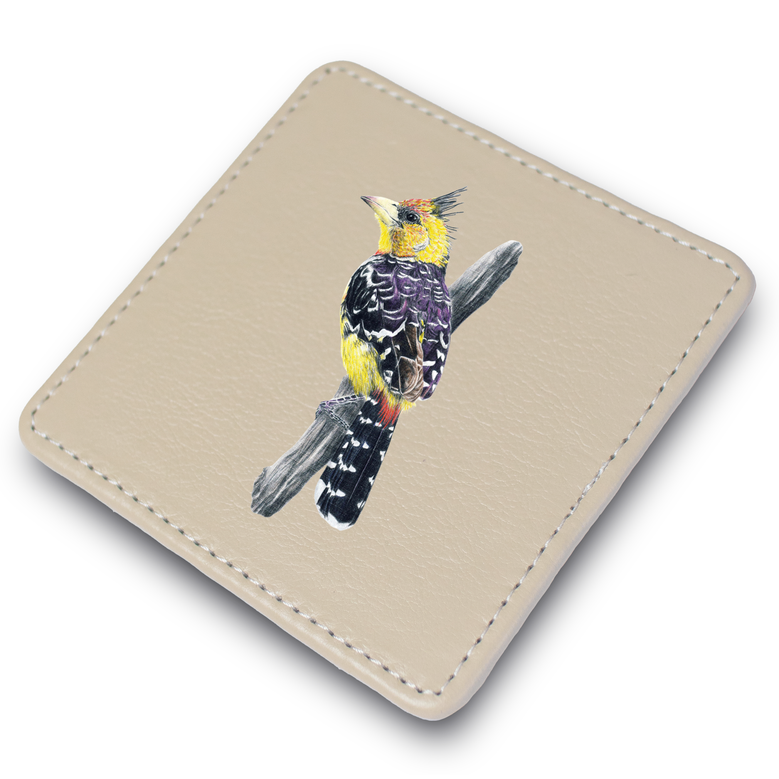 Crested Barbet Leather Coaster