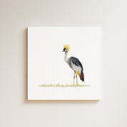 Crowned Crane drawing on canvas by South African wildlife artist Matthew Bell