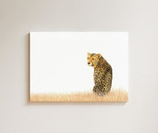 Cheetah drawing on canvas by South African wildlife artist Matthew Bell