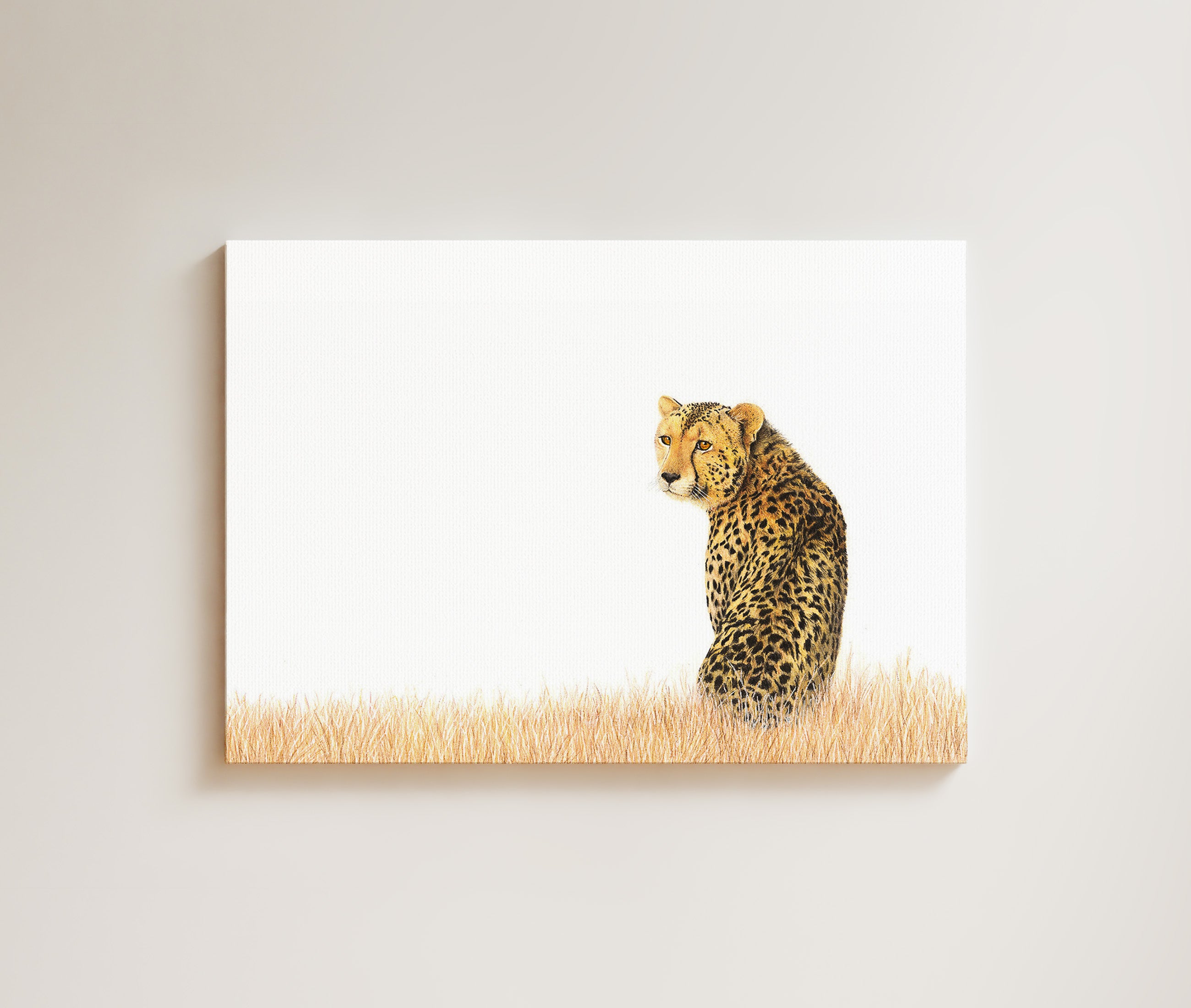 Cheetah drawing on canvas by South African wildlife artist Matthew Bell
