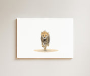 Cheetah Cub drawing on canvas by South African wildlife artist Matthew Bell