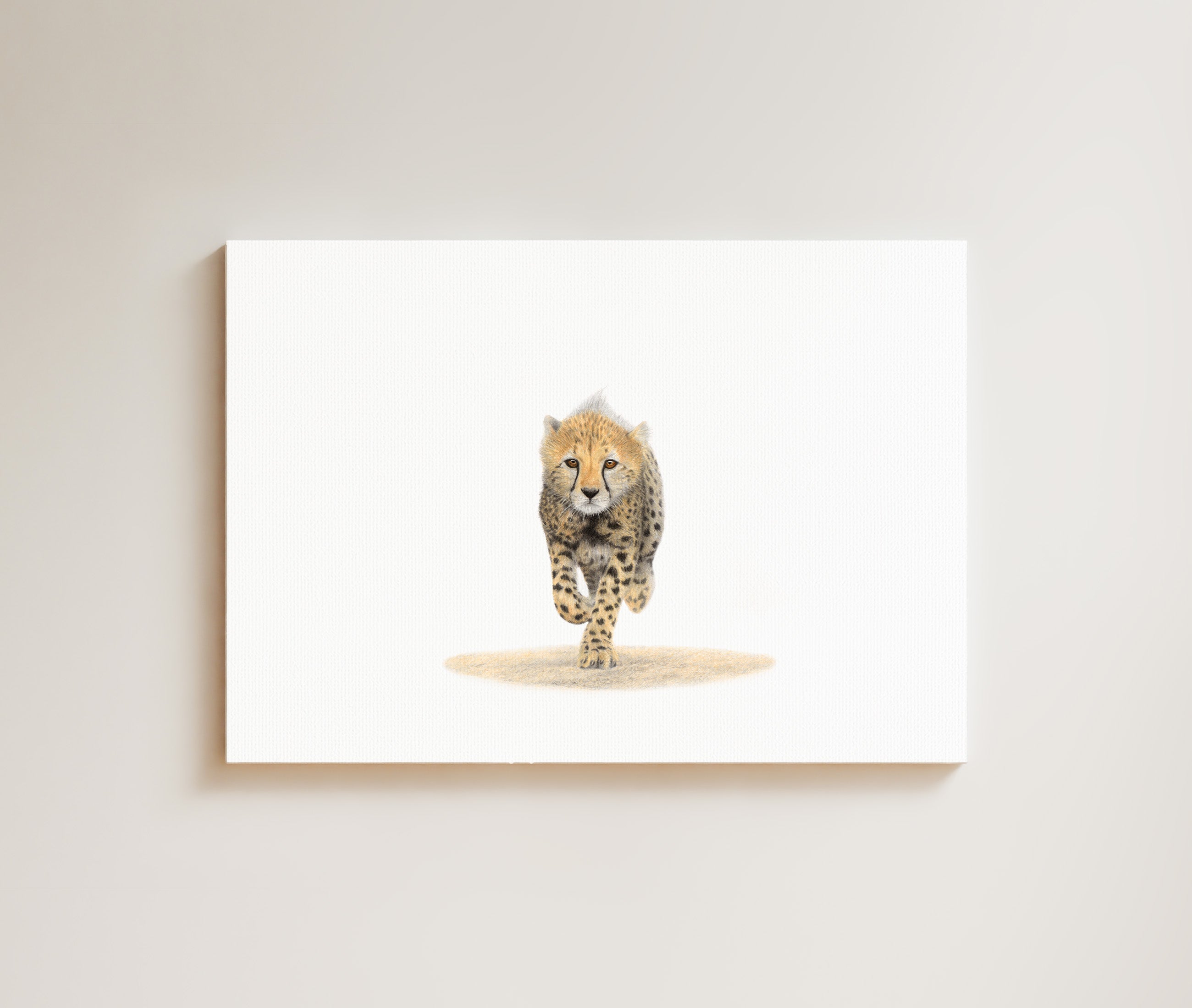 Cheetah Cub drawing on canvas by South African wildlife artist Matthew Bell