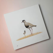 South African bird artwork on canvas, stretched on wooden frame by wildlife artist Matthew Bell of a Crowned Lapwing mother and chick