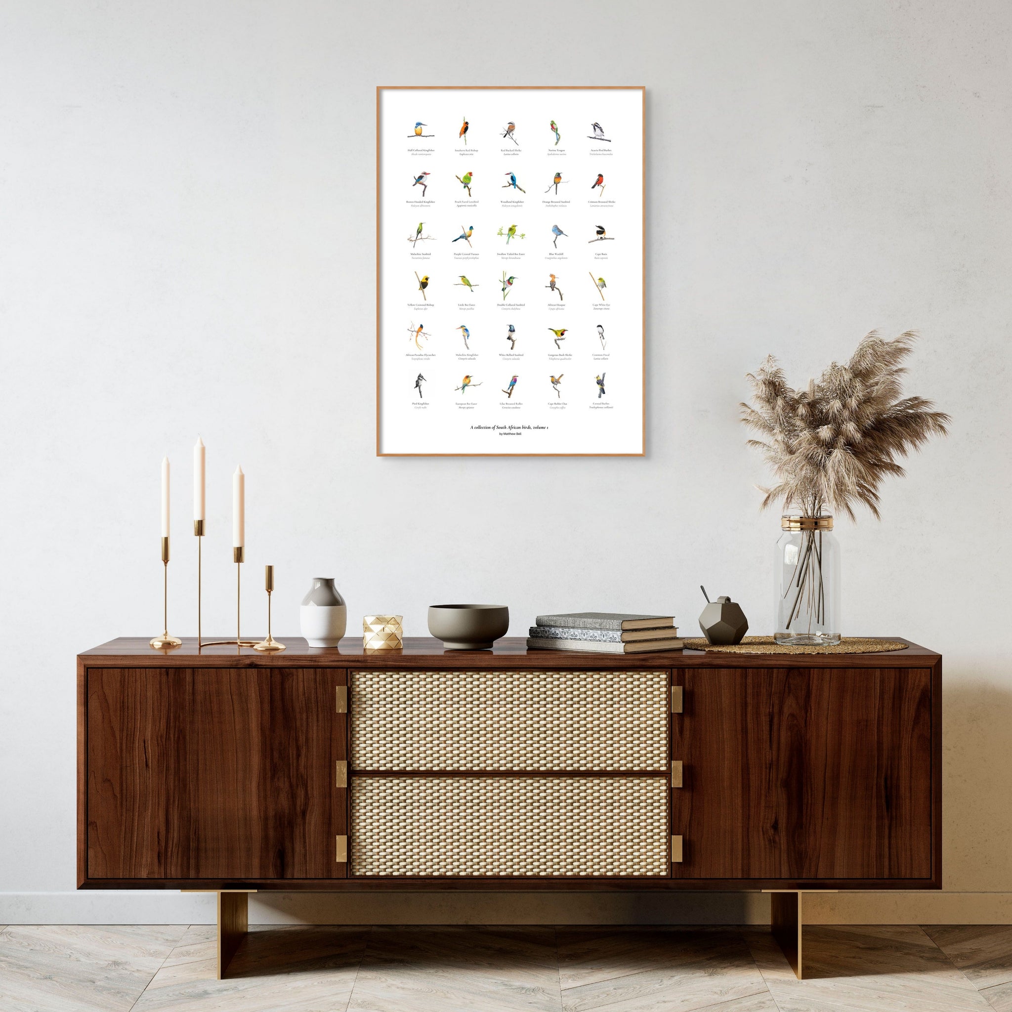 A collection of South African birds poster artwork by wildlife artist Matthew Bell