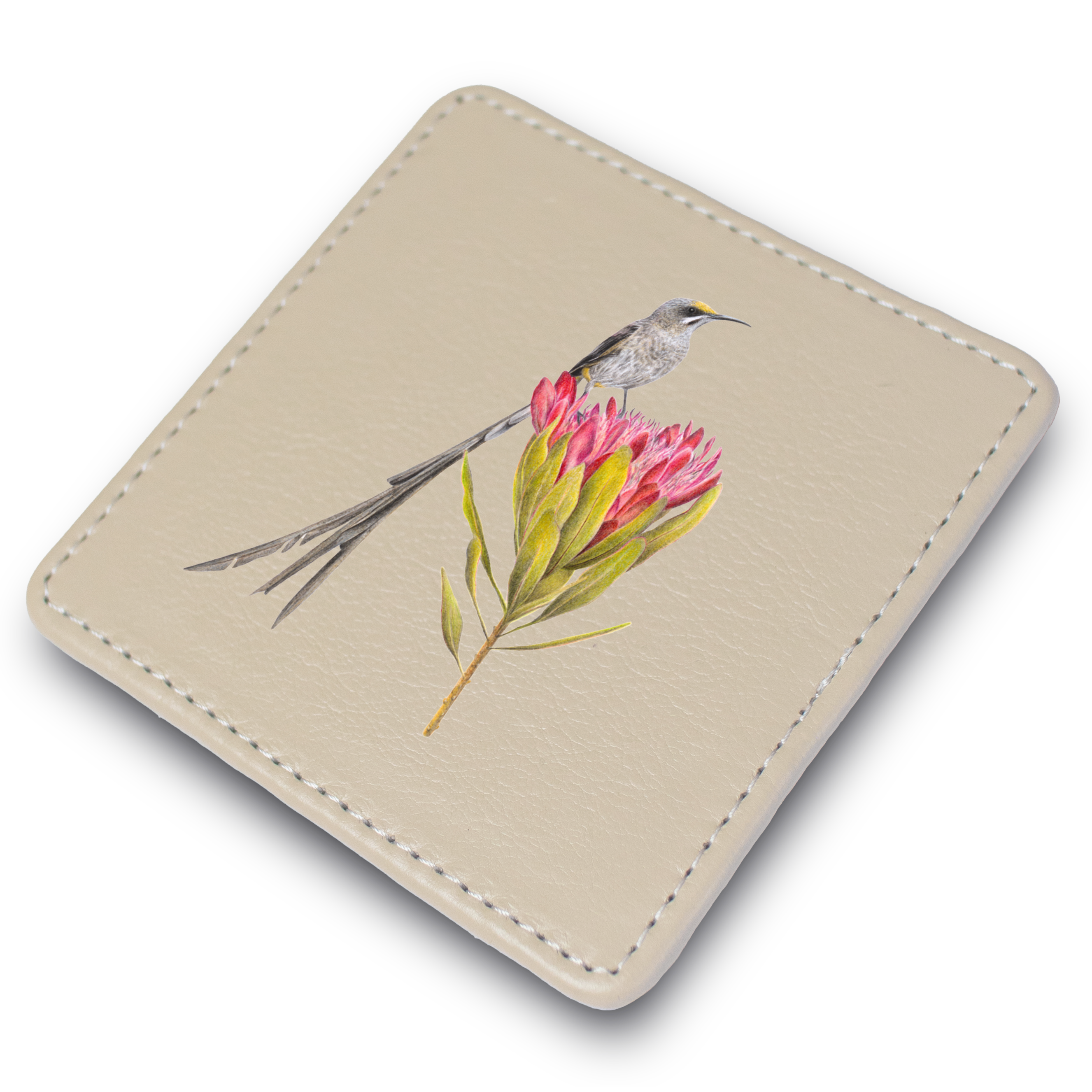 Cape Sugarbird Leather Coaster