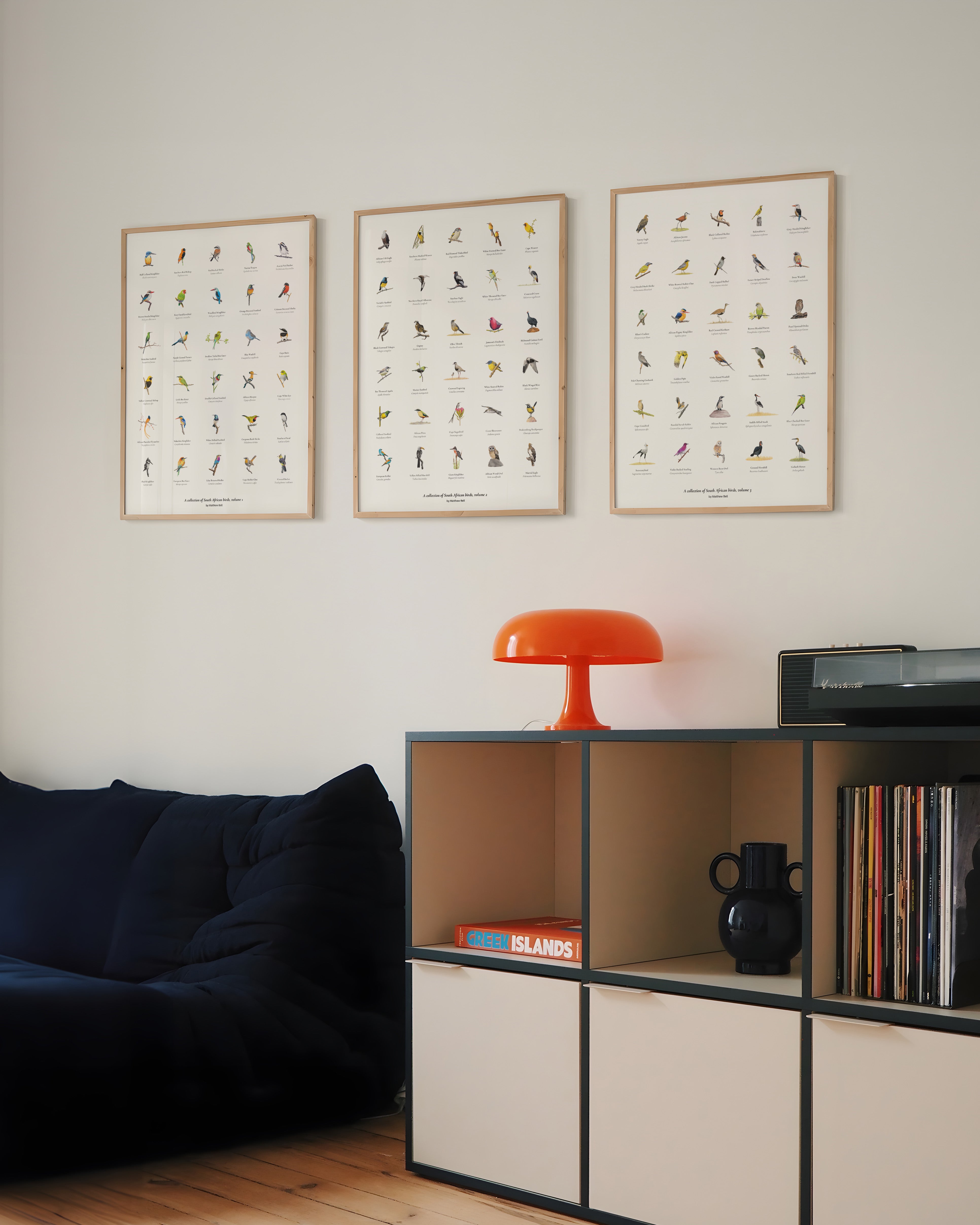 Collection of South African Birds by South African wildlife artist Matthew Bell