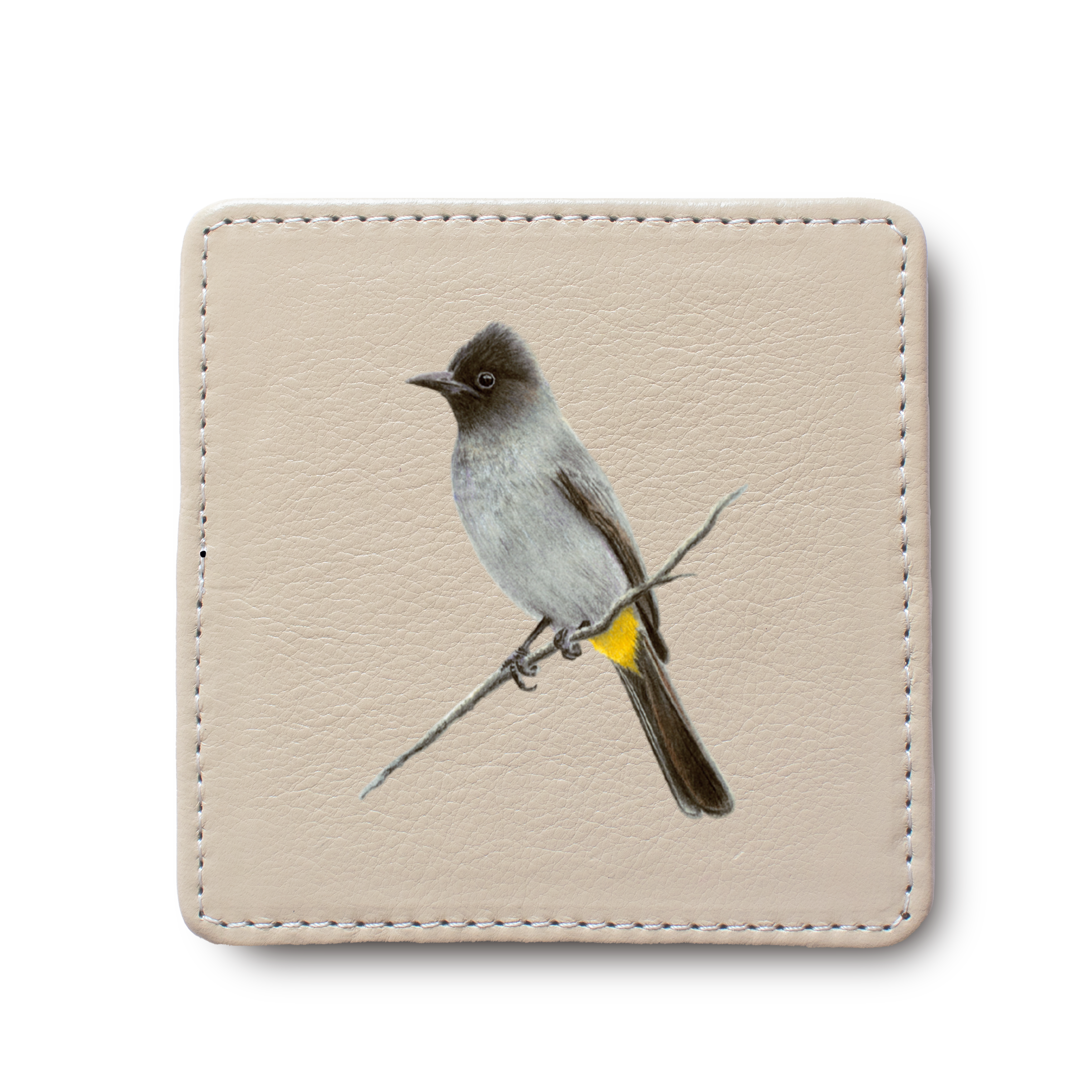 Dark Capped Bulbul Leather Coaster