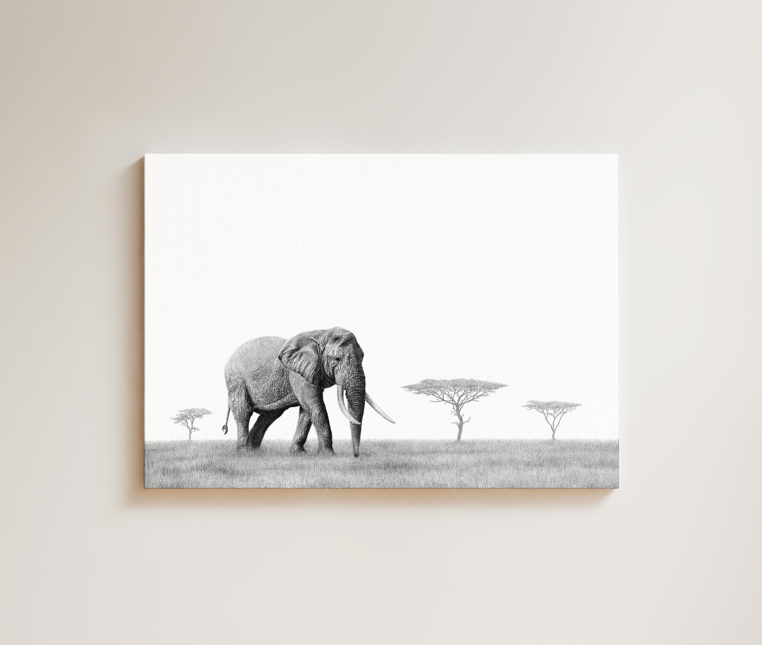 Elephant Bull drawing on canvas by South African wildlife artist Matthew Bell