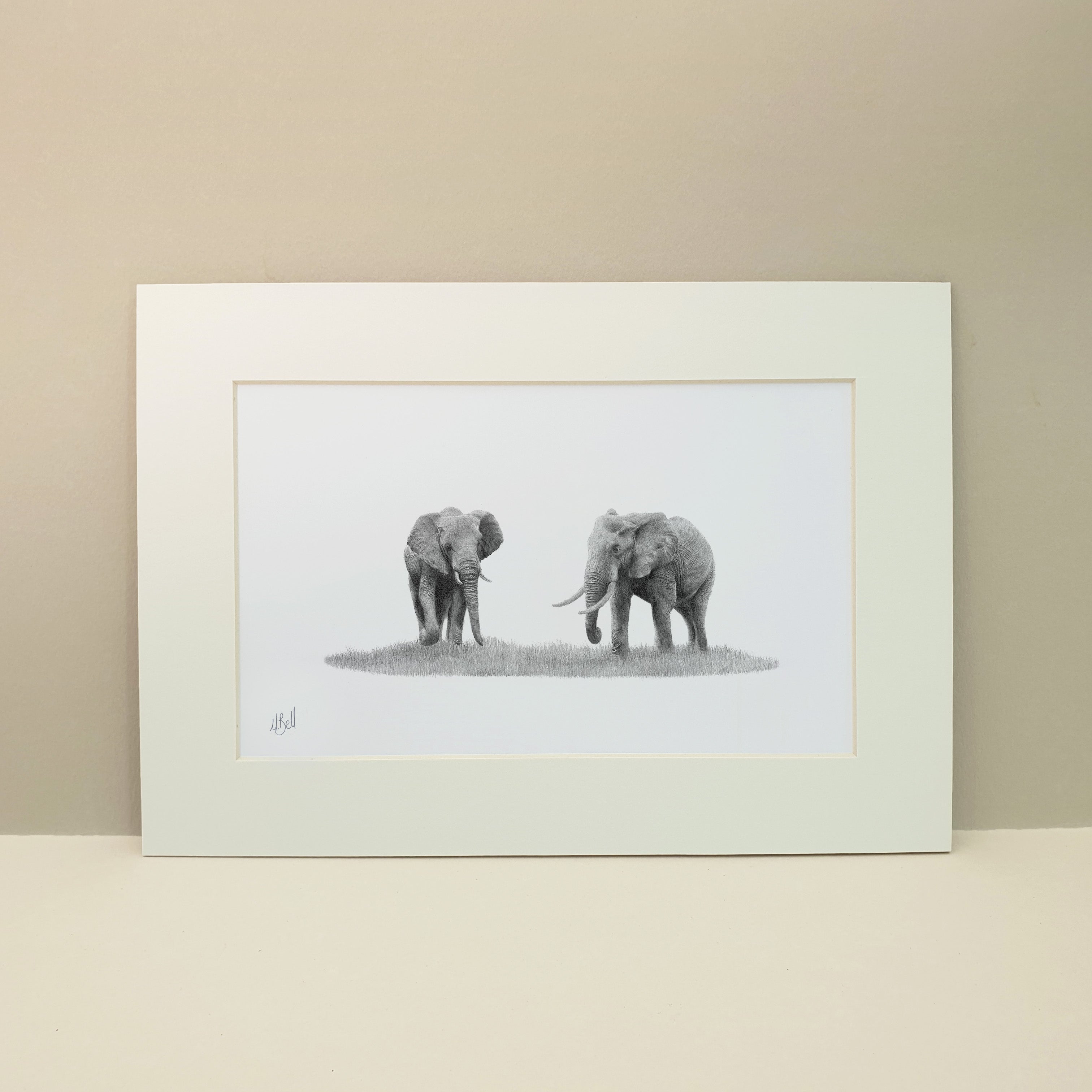 A pair of two African Elephants in the Serengeti in Tanzania