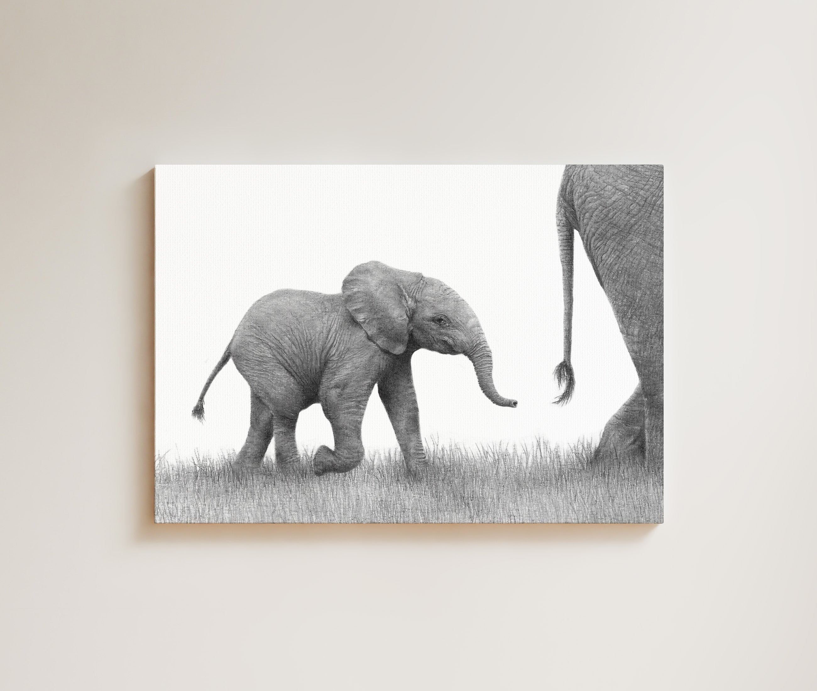 Elephant Baby drawing on canvas by South African wildlife artist Matthew Bell
