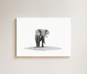 Elephant Bull drawing on canvas by South African wildlife artist Matthew Bell