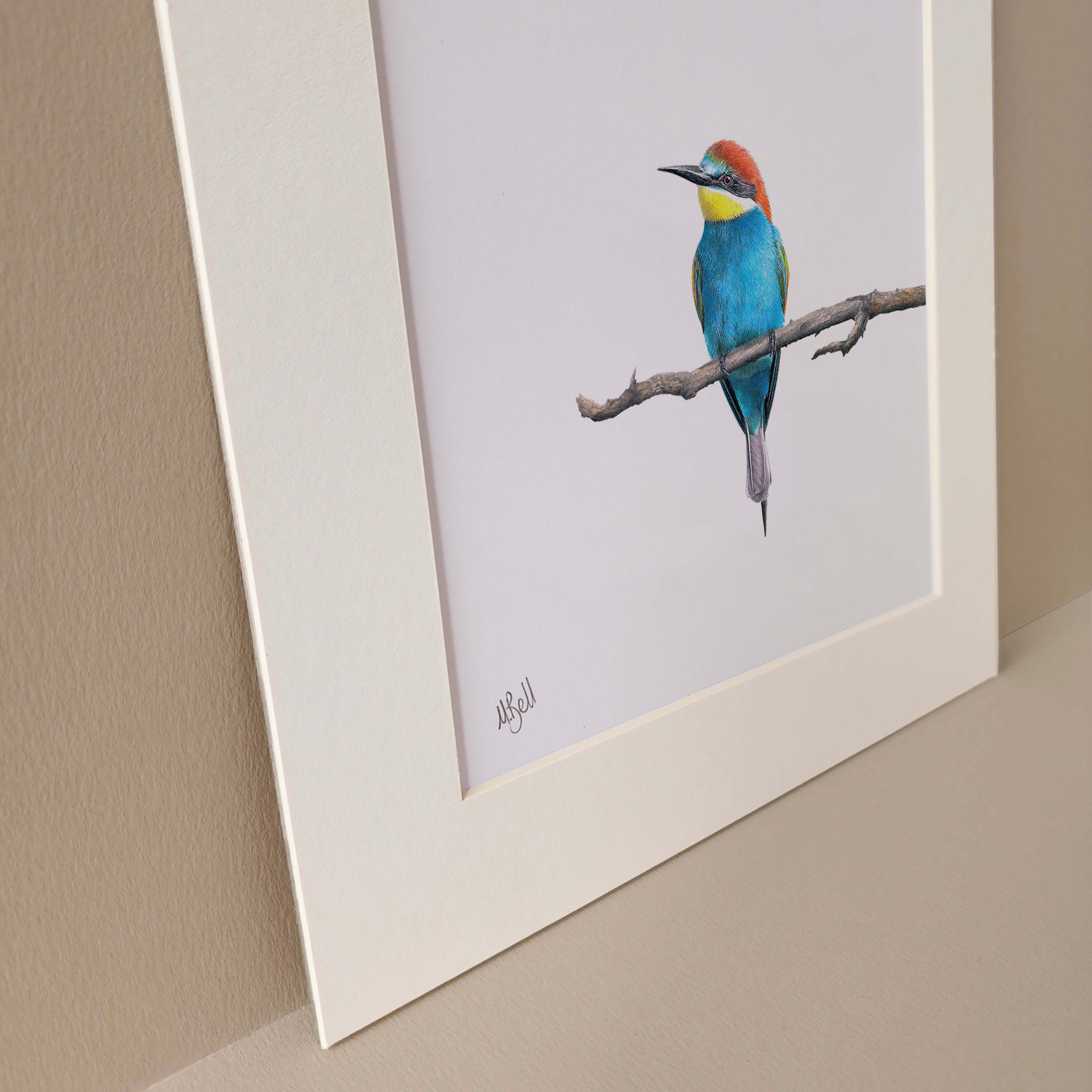 European Bee Eater South African bird artwork