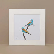 European Rollers pencil art print