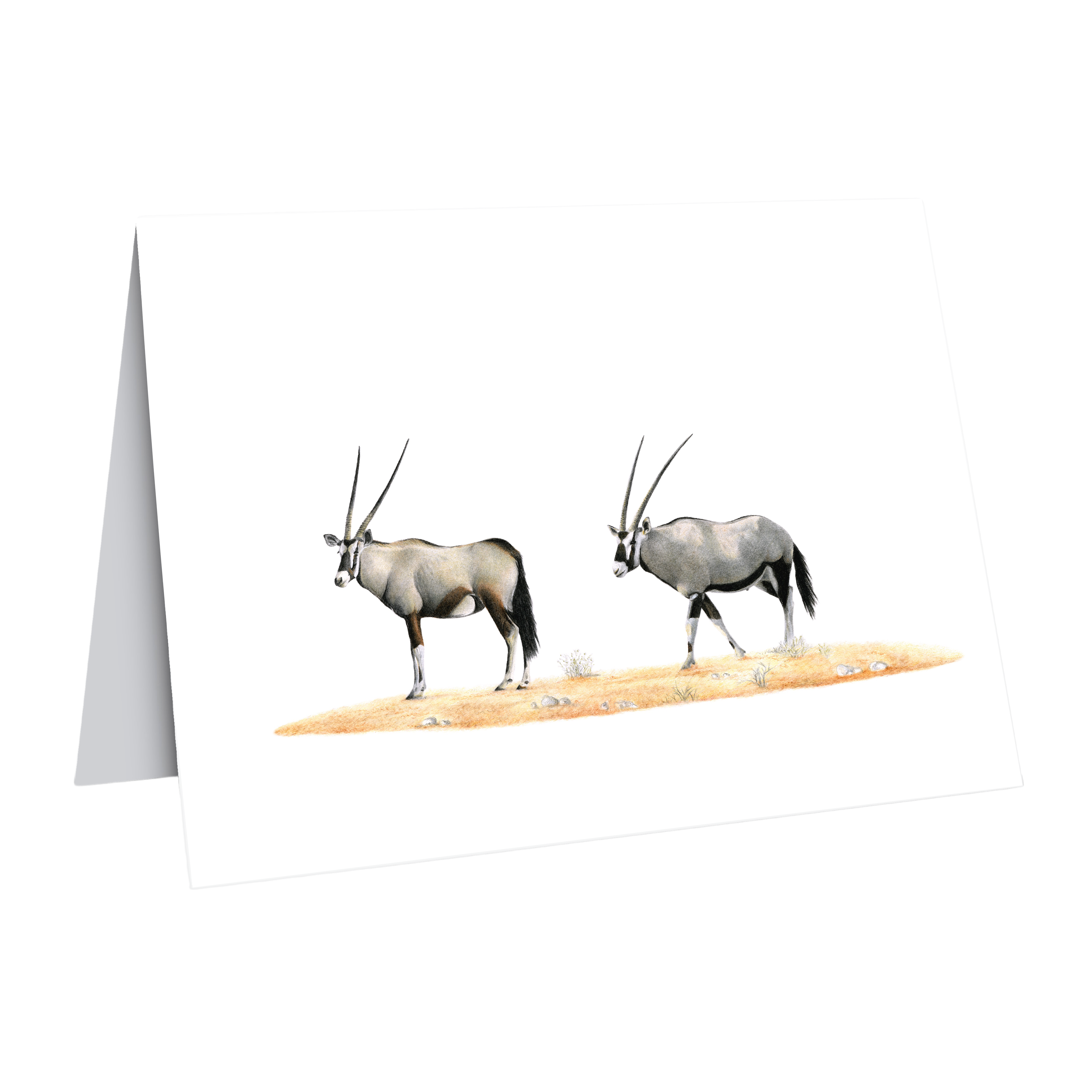 Gemsbok Greeting Card - GBK2