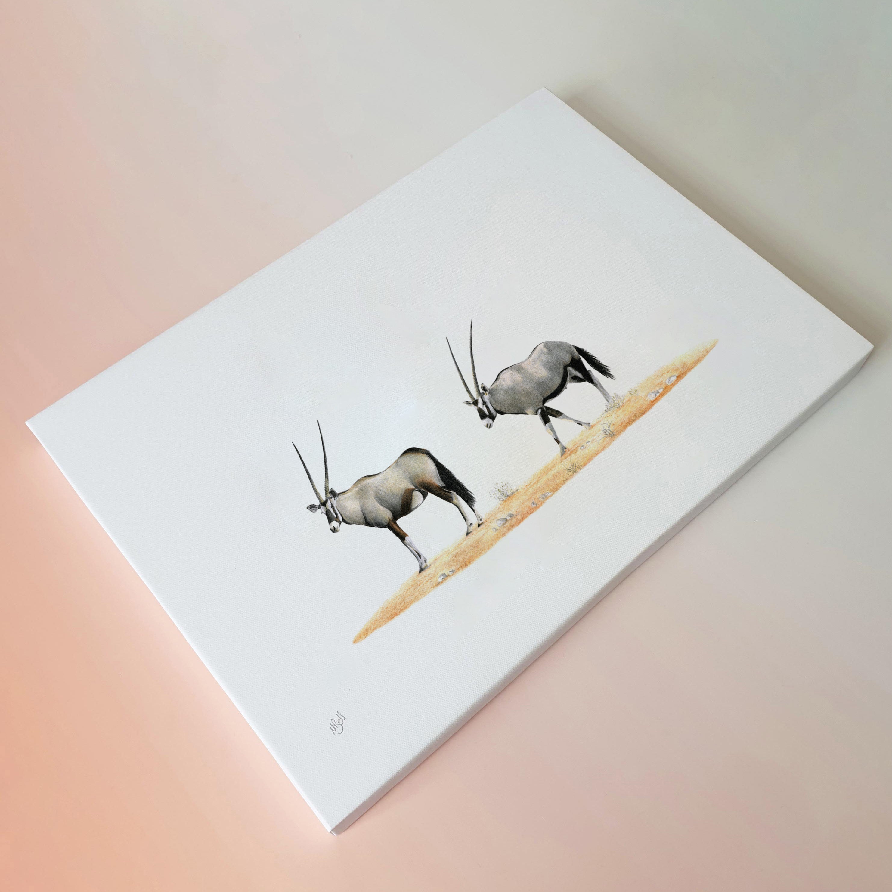 Gemsbok Pair (GBK2) on Canvas