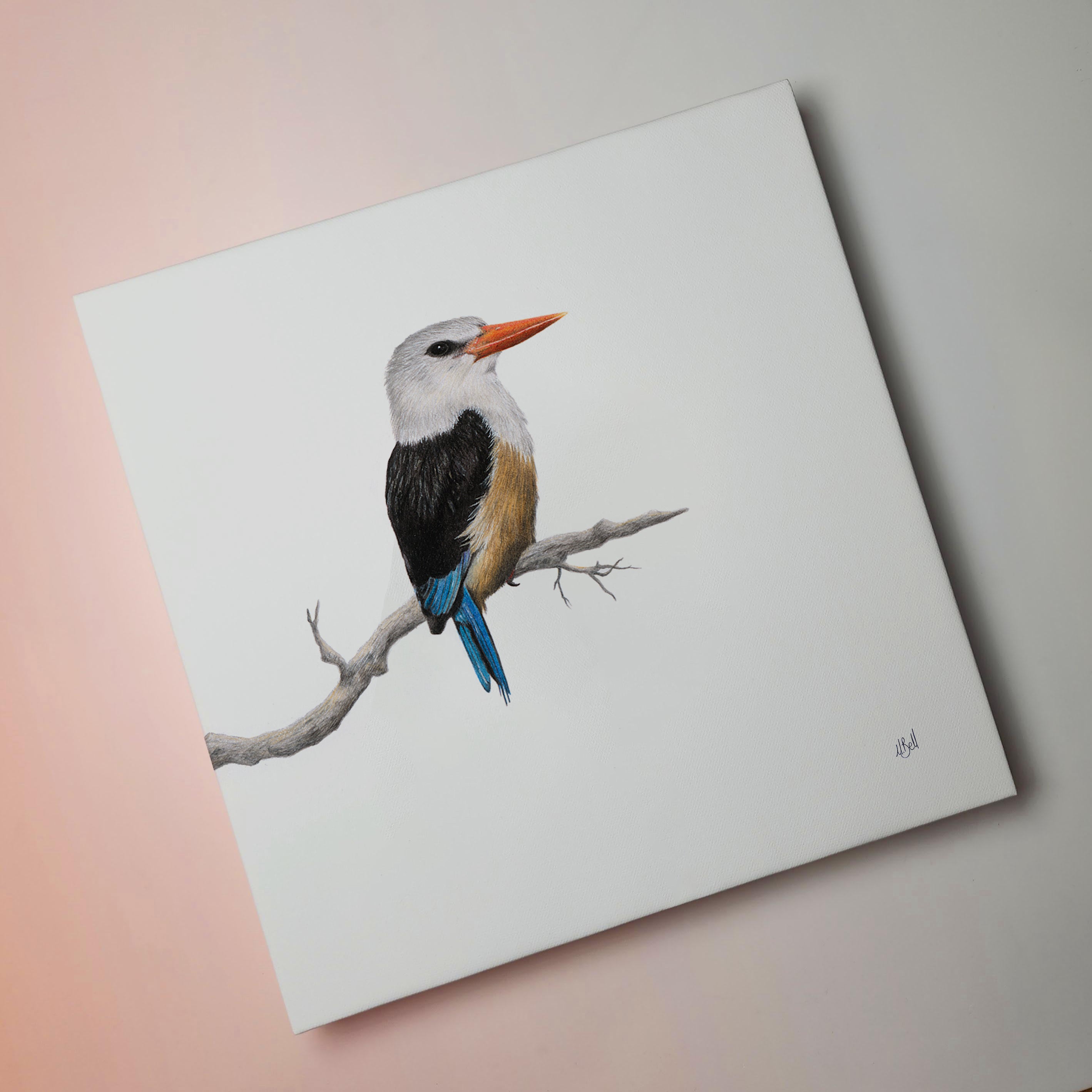 Grey Headed Kingfisher bird artwork on stretched canvas