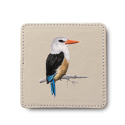 Grey Headed Kingfisher Bird leather coaster by South African wildlife artist Matthew Bell