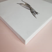 South African bird artwork on canvas, stretched on wooden frame by wildlife artist Matthew Bell of a Great Shearwater off the coast of Cape Town