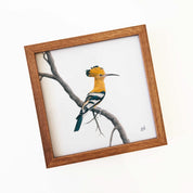 Kiaat wood framed miniature artwork of an African Hoopoe, part of wildlife artist Matthew Bell's birds of South Africa gallery