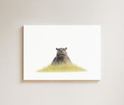 Hippo drawing on canvas by South African wildlife artist Matthew Bell