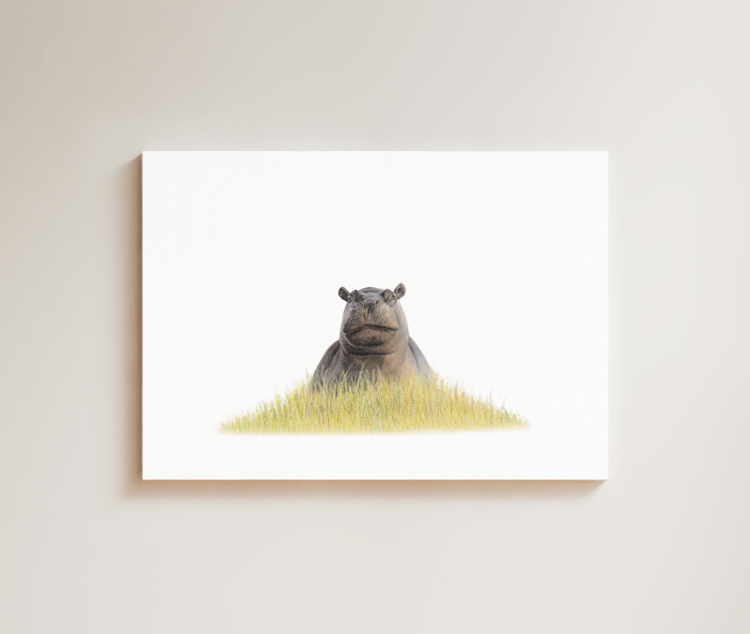 Hippo drawing on canvas by South African wildlife artist Matthew Bell
