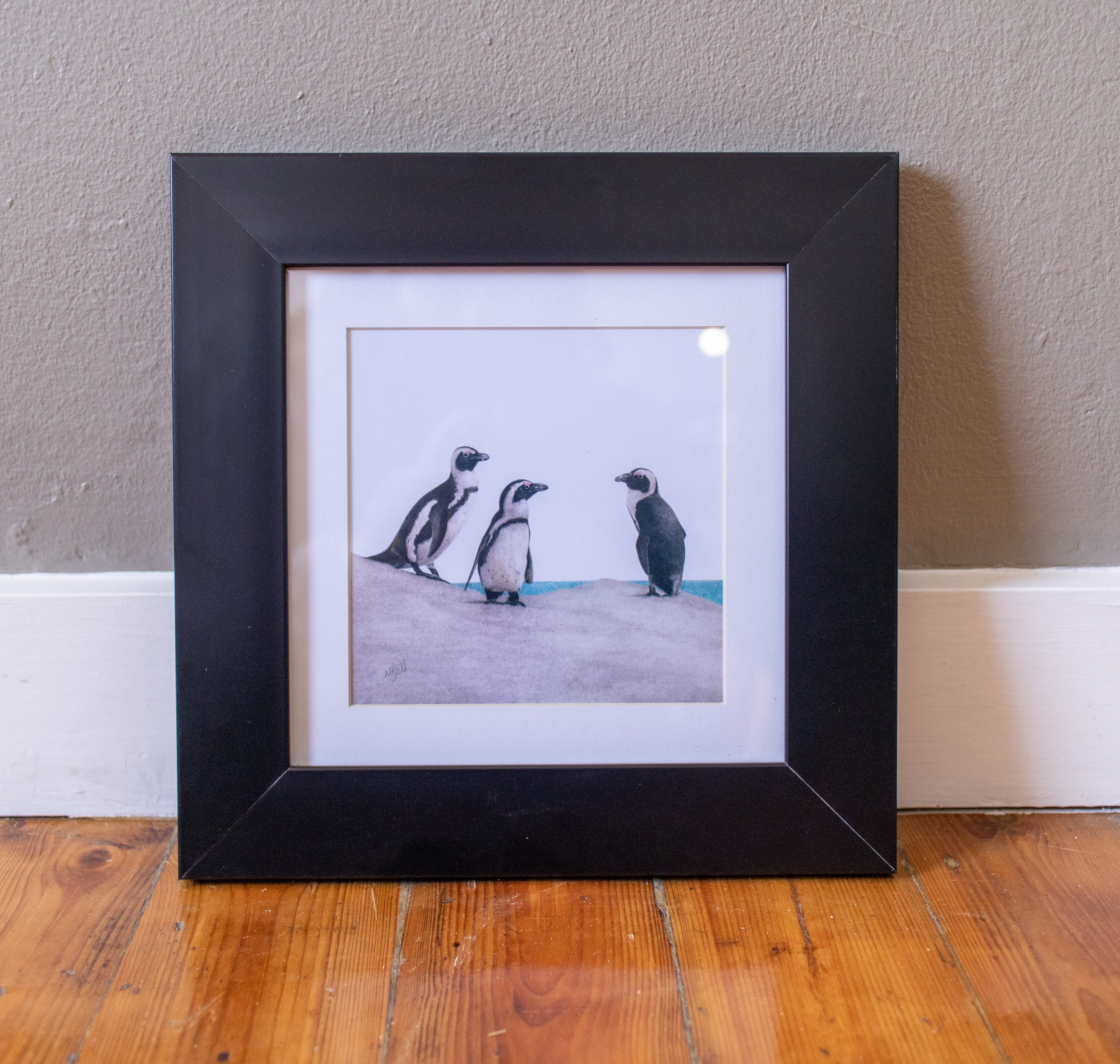 African Penguins - Framed
