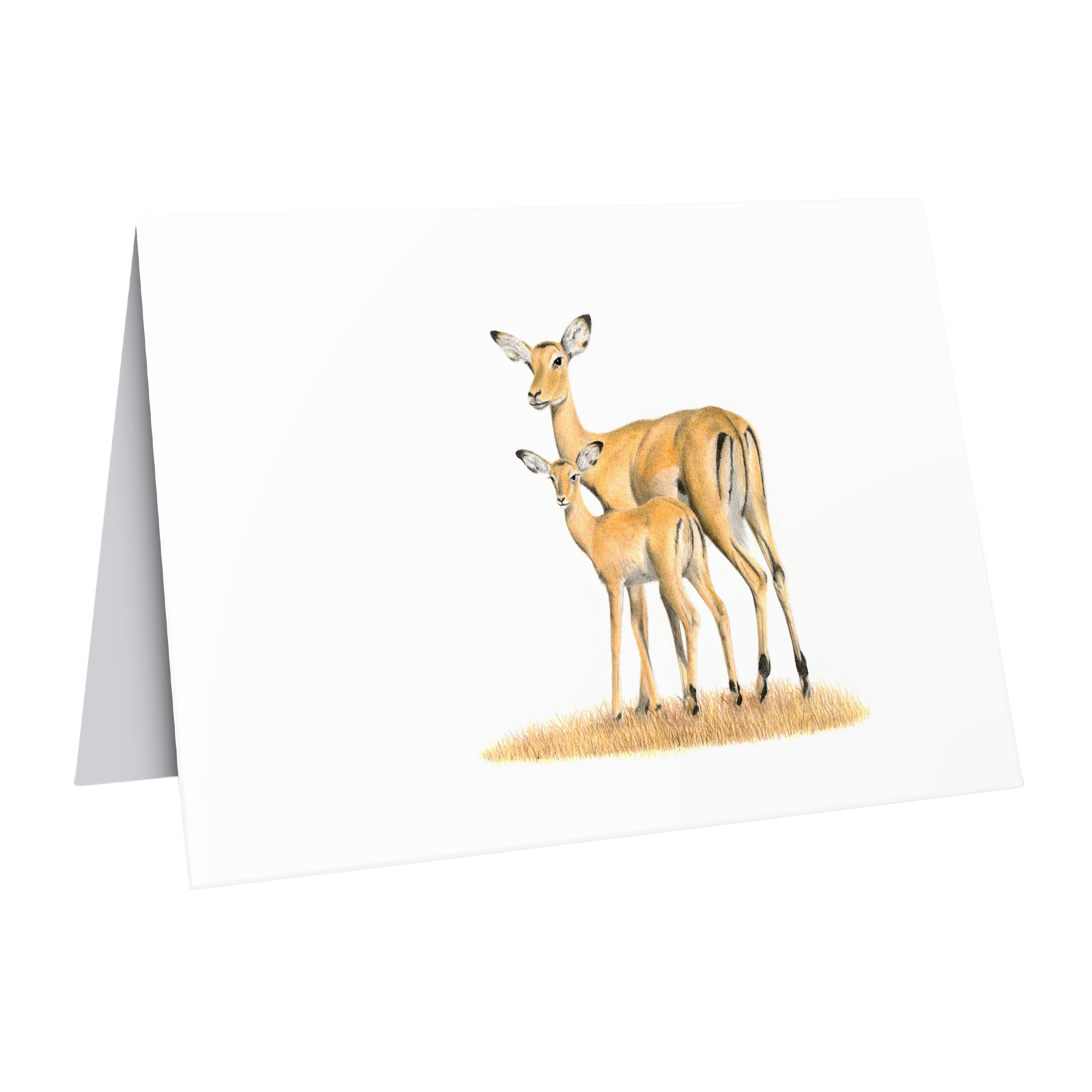 Impalas Greeting Card - IMP2