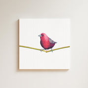 Jameson's Firefinch drawing on canvas by South African wildlife artist Matthew Bell