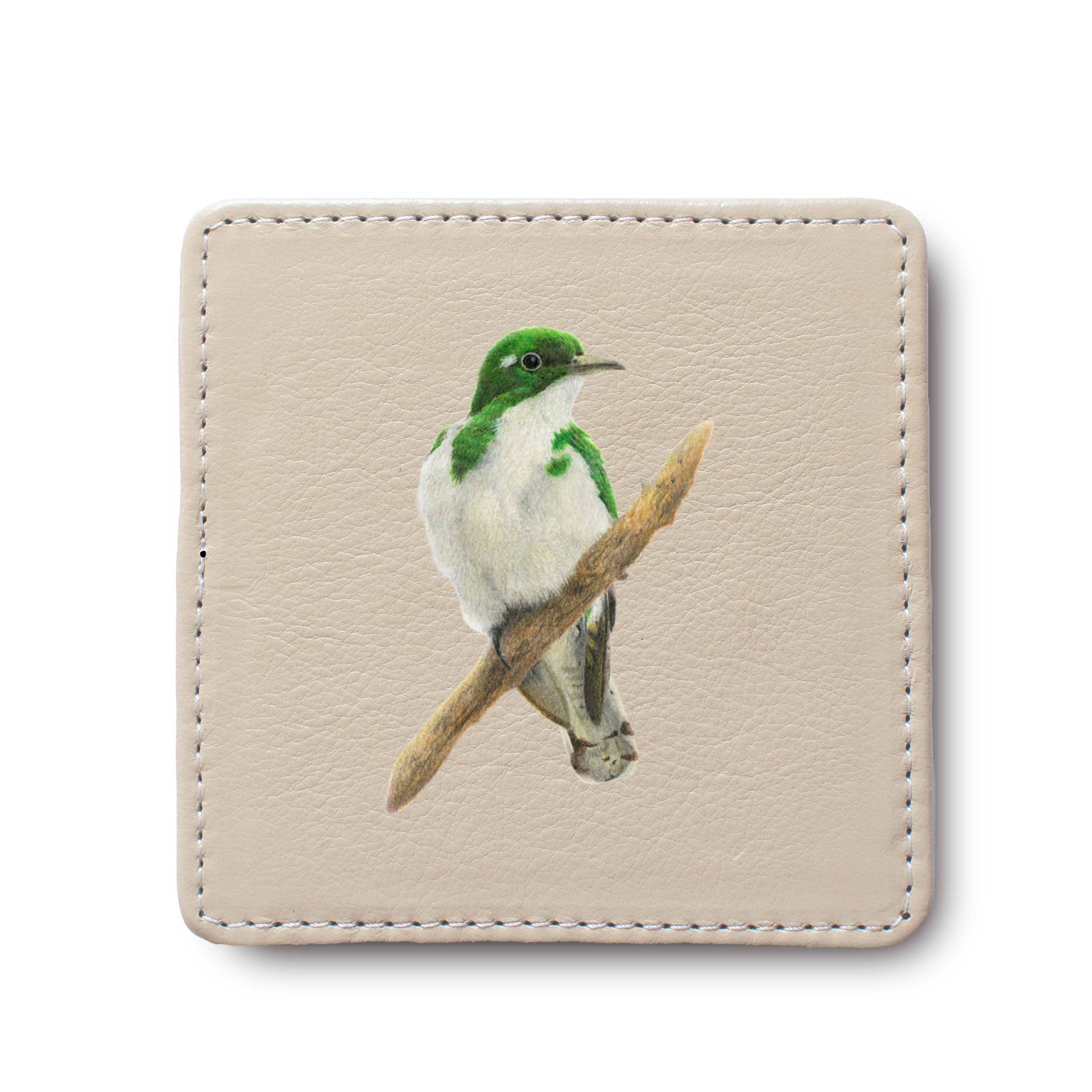 Klaas's Cuckoo Bird leather coaster by South African wildlife artist Matthew Bell