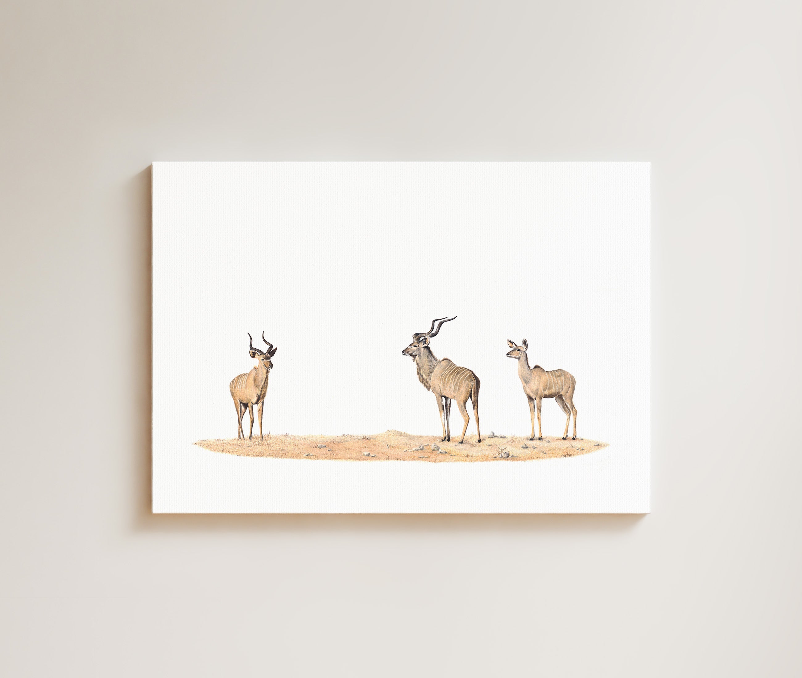 Kudus drawing on canvas by South African wildlife artist Matthew Bell