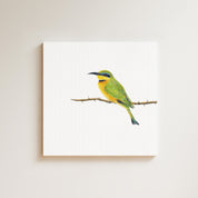 Little Bee Eater drawing on canvas by South African wildlife artist Matthew Bell
