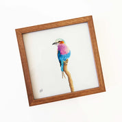Kiaat wood framed miniature artwork of a Lilac Breasted Roller, part of wildlife artist Matthew Bell's birds of South Africa gallery