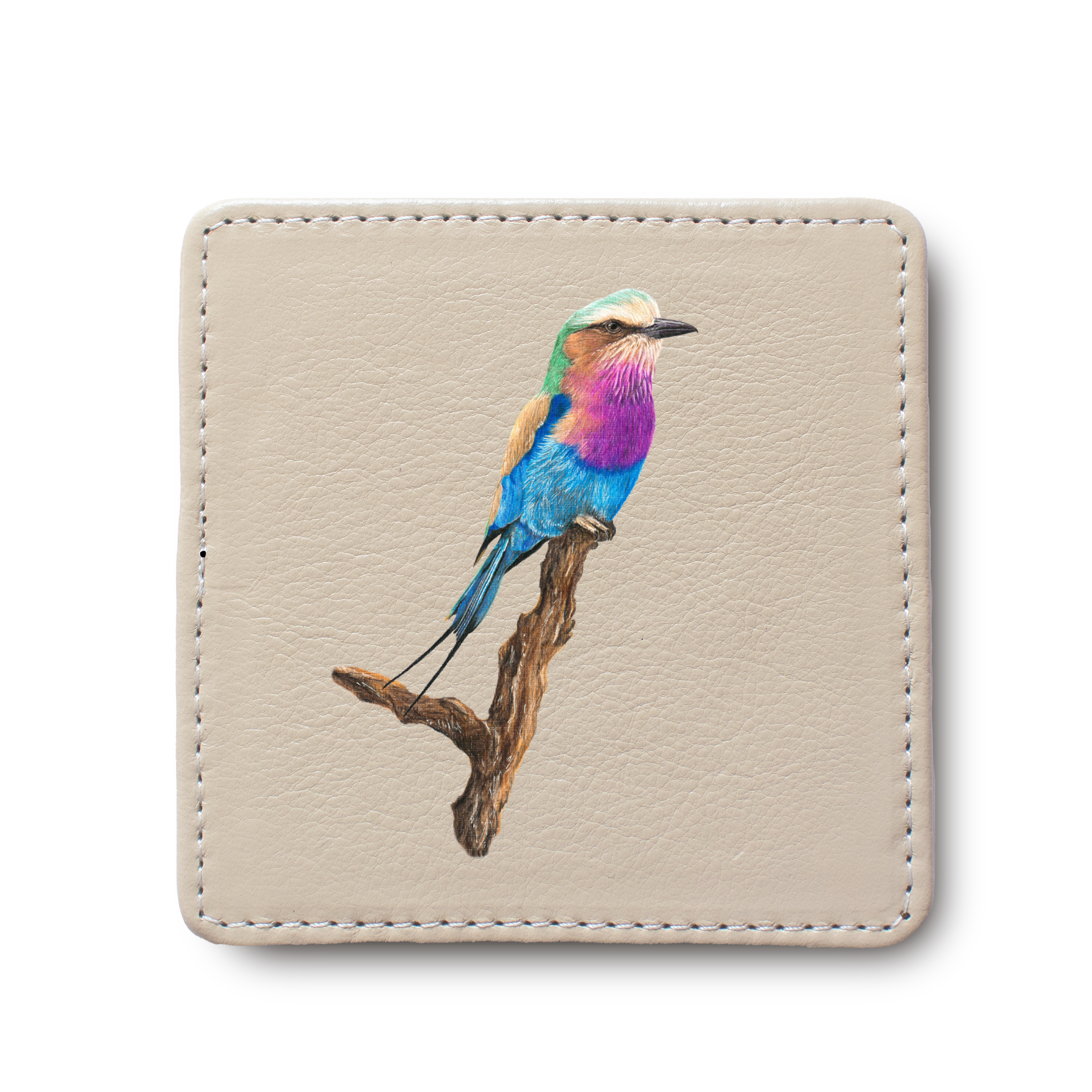 Lilac Breasted Roller Bird leather coaster by South African wildlife artist Matthew Bell