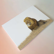 Male Lion in the grass canvas print