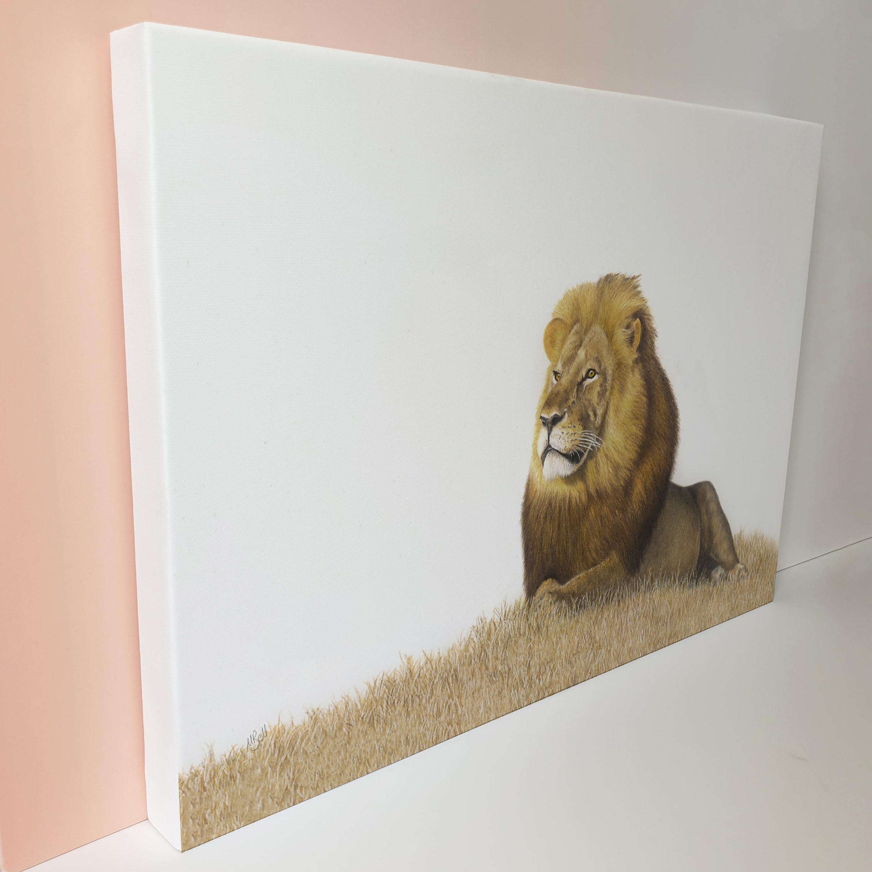 Male Lion in the grass canvas print