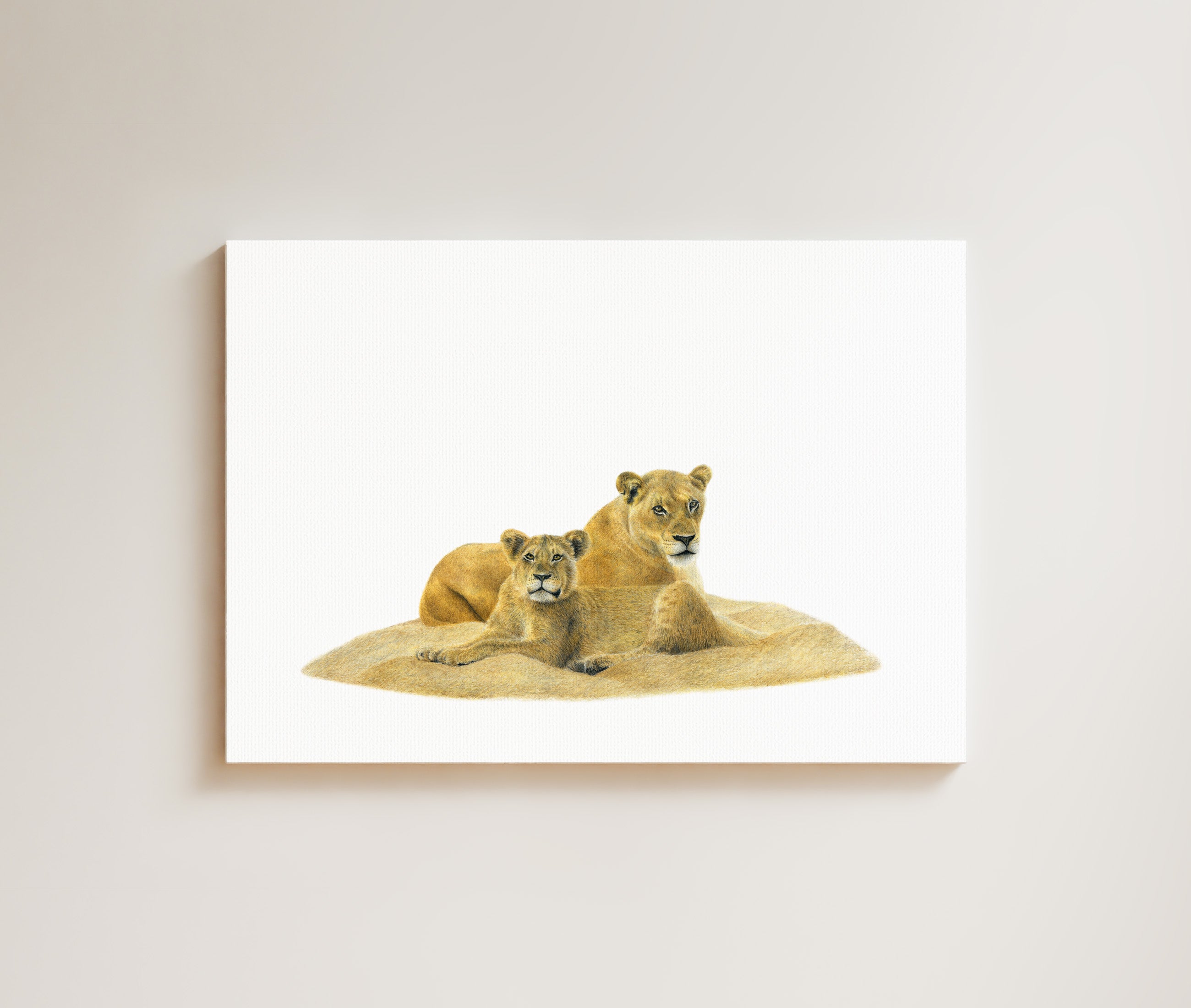 Lioness and Juvenile drawing on canvas by South African wildlife artist Matthew Bell