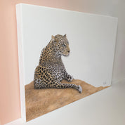 Leopard in the Sabi Sands nature artwork original on stretched canvas