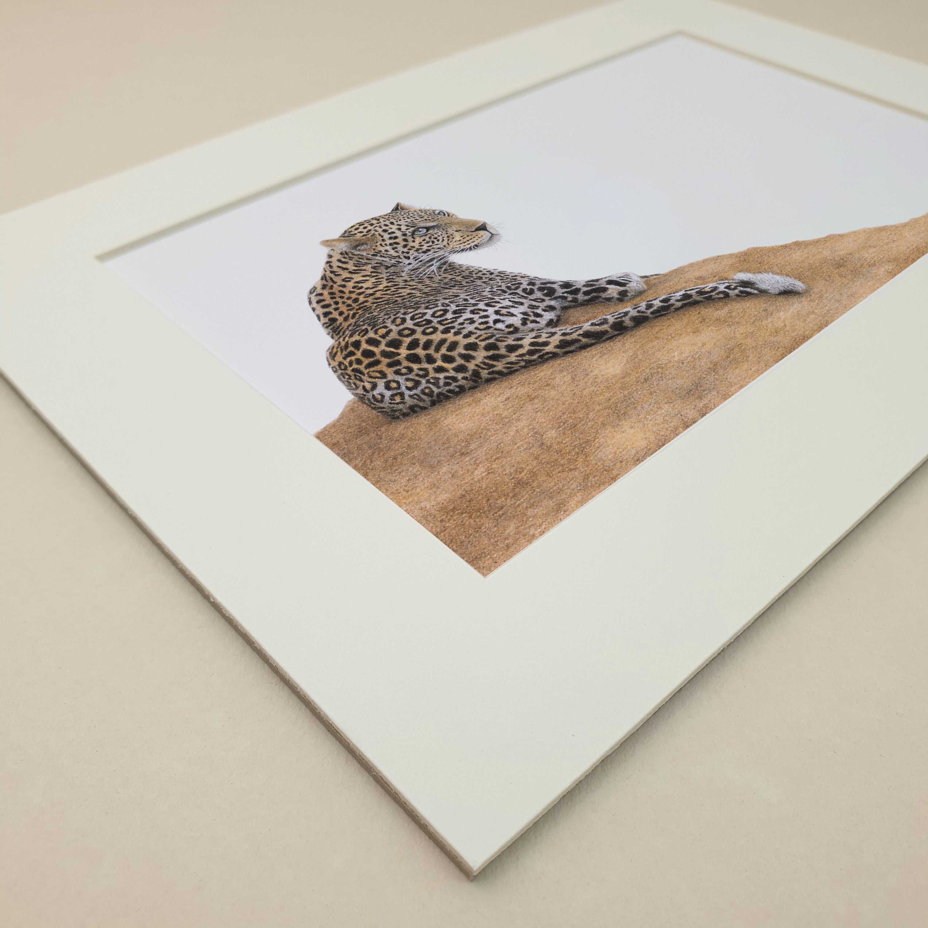 Leopard lying on a mound in the Sabi Sabi game reserve
