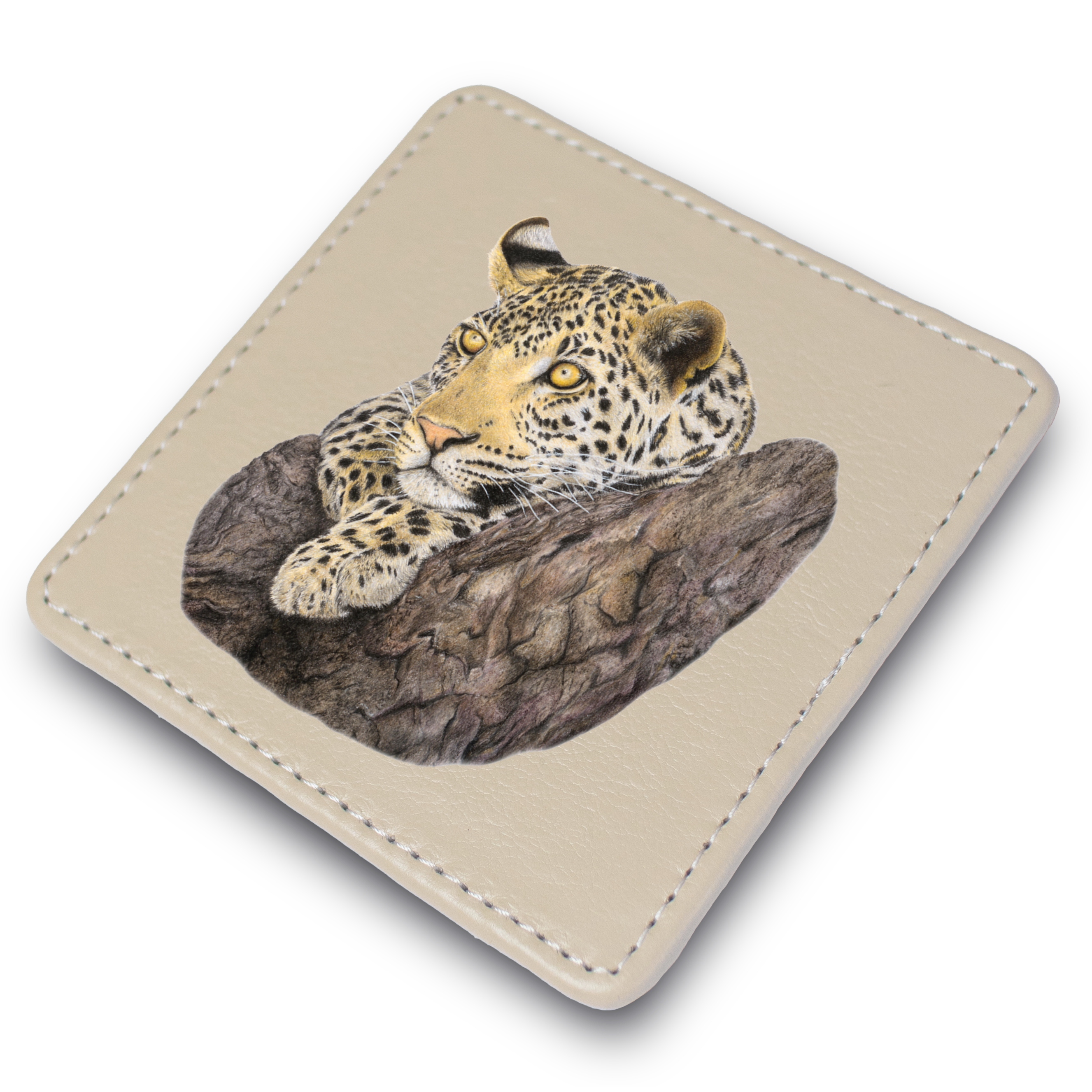 Leopard in Marula Tree Leather Coaster