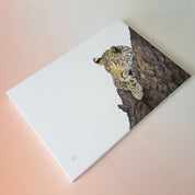 Leopard in a marula tree African wildlife art on canvas