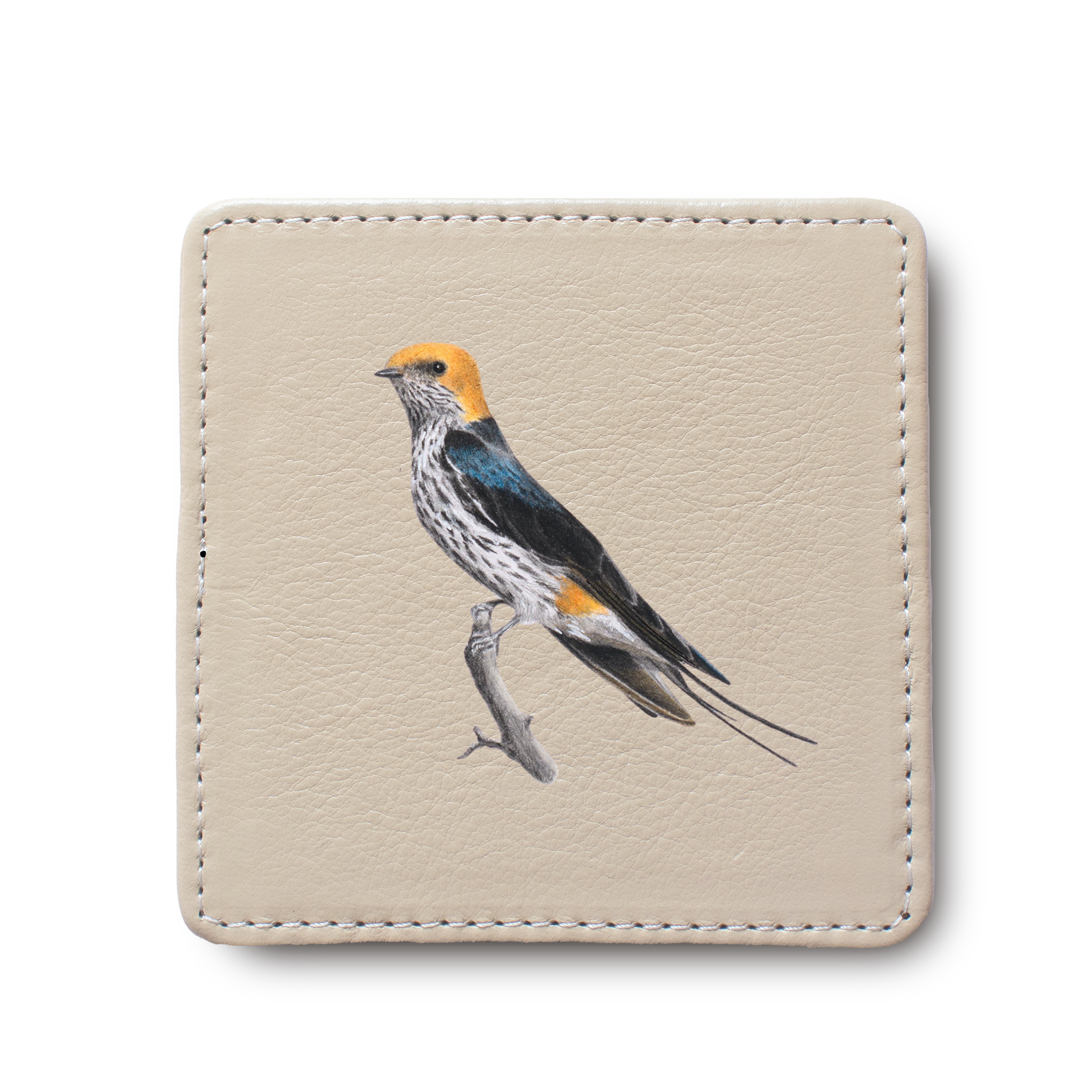 Lesser Striped Swallow Bird leather coaster by South African wildlife artist Matthew Bell