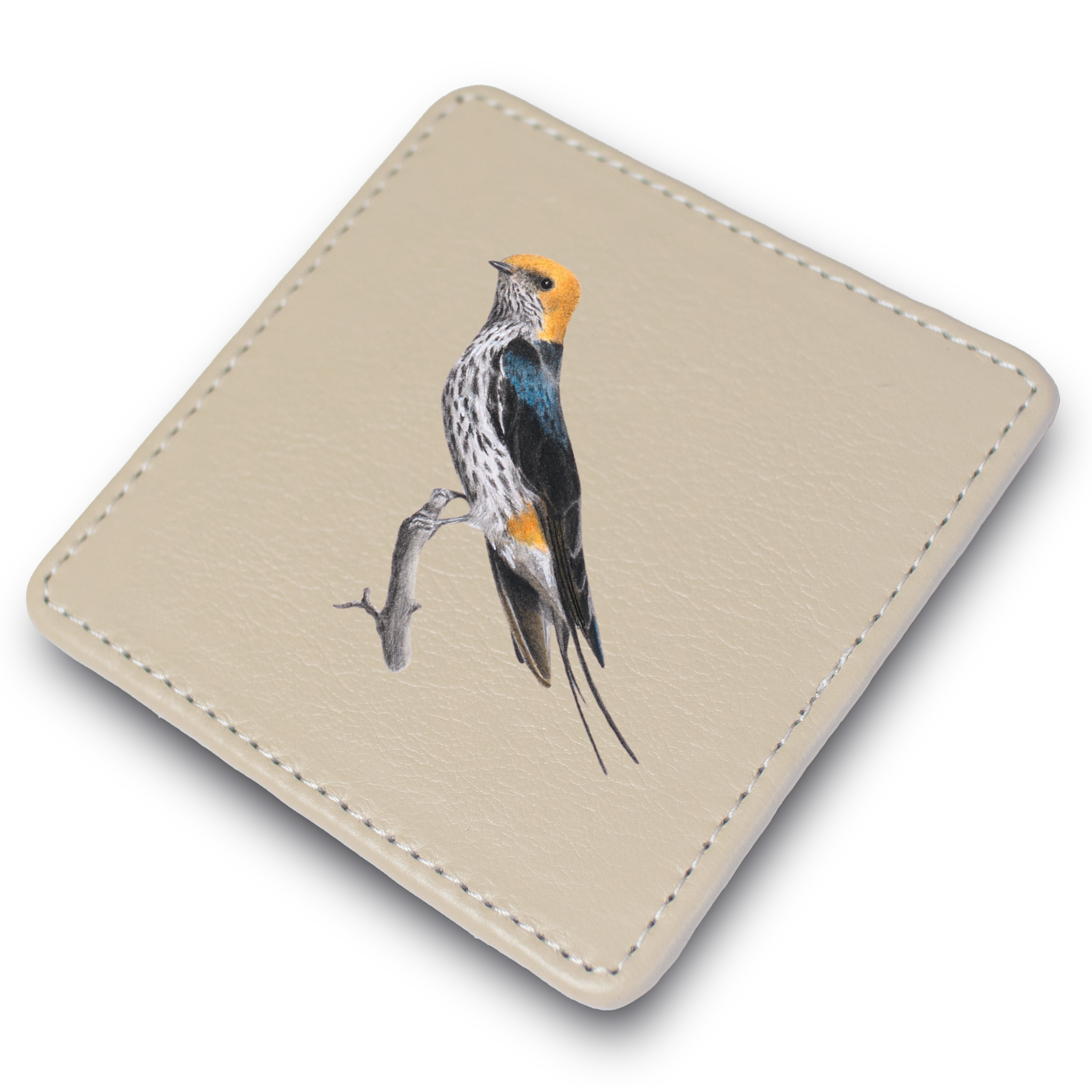 Lesser Striped Swallow Leather Coaster