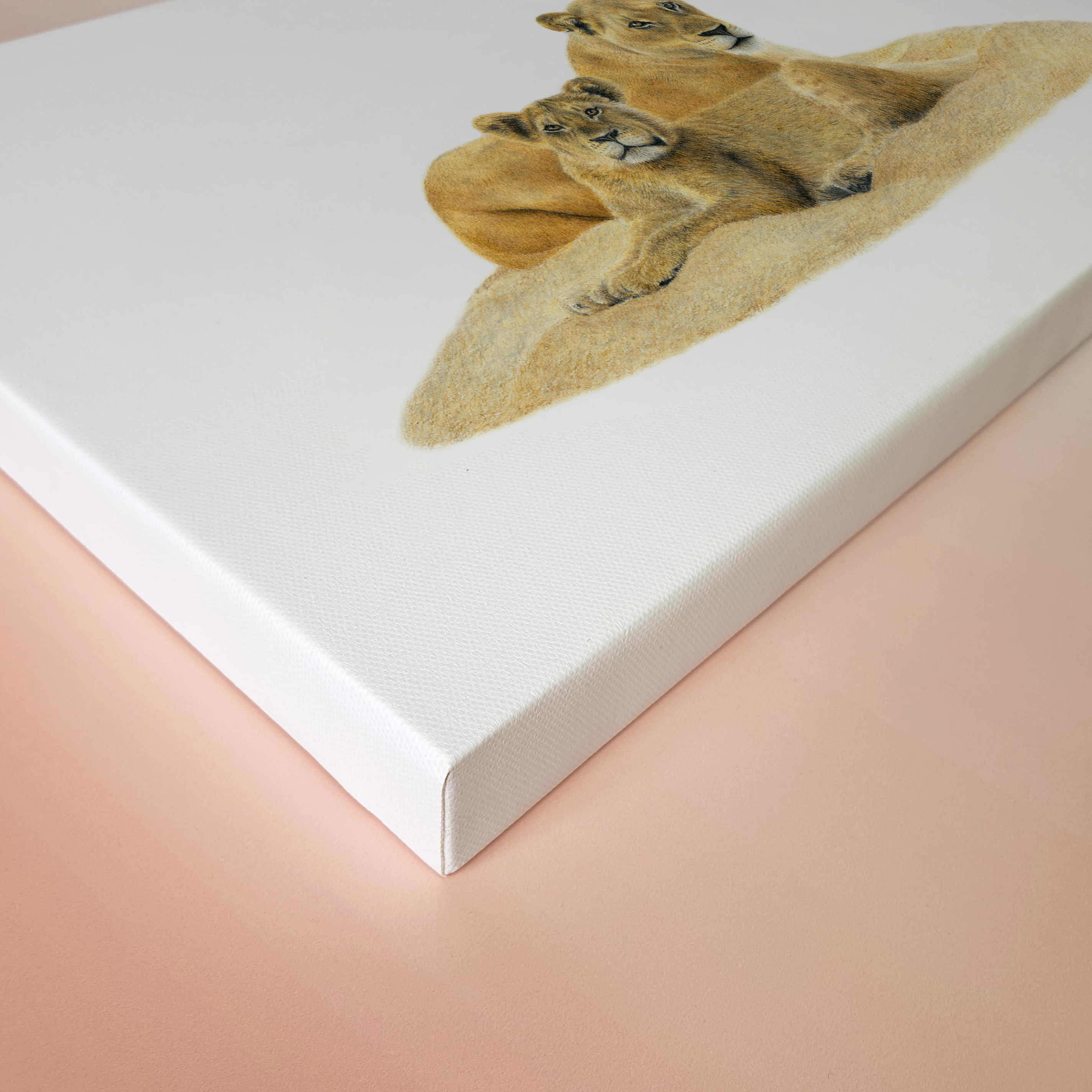 Matthew Bell wildlife South African art canvas artwork of two lions in the Sabi Sands game reserve