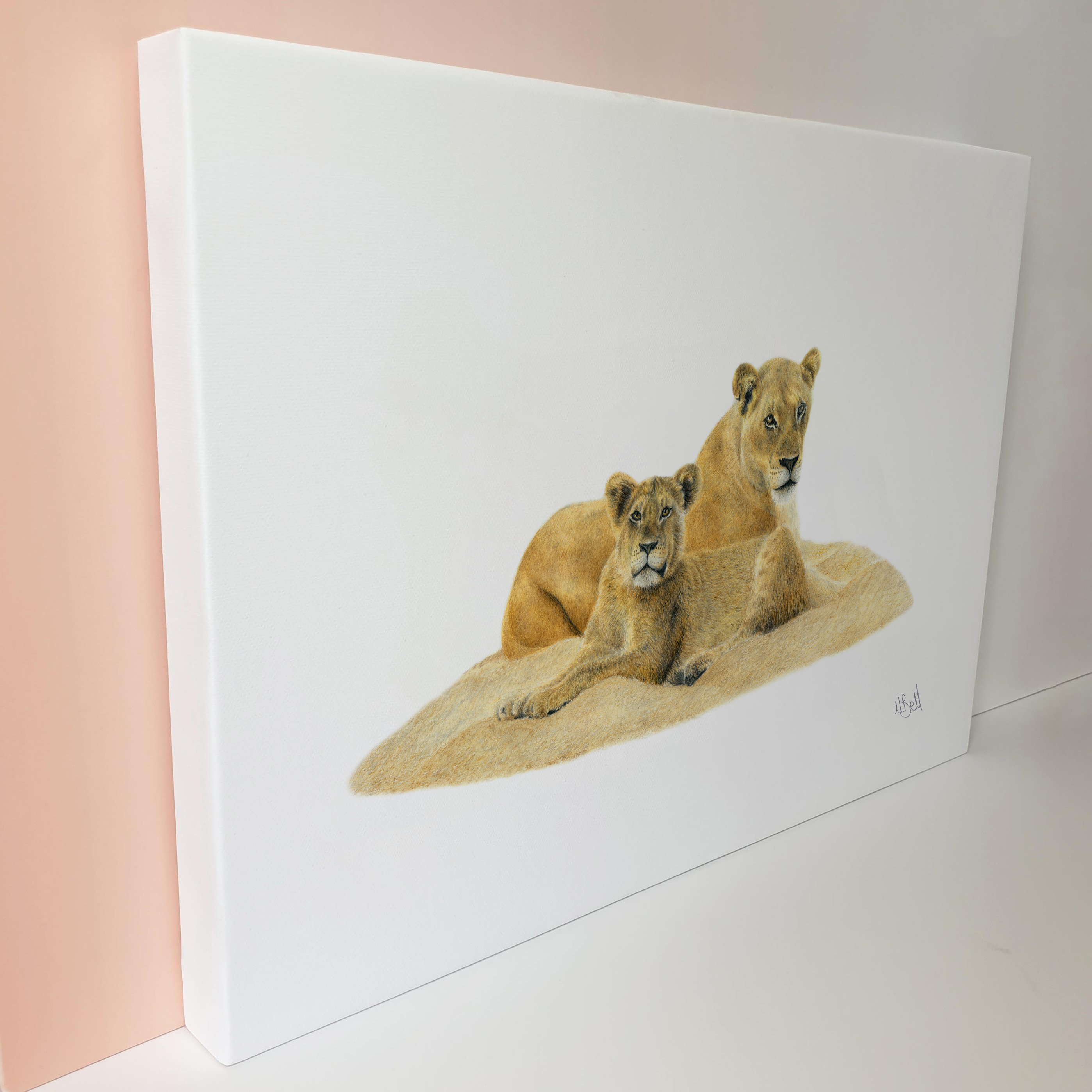 Matthew Bell wildlife South African art canvas artwork of two lions in the Sabi Sands game reserve