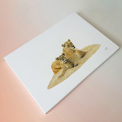 Matthew Bell wildlife South African art canvas artwork of two lions in the Sabi Sands game reserve