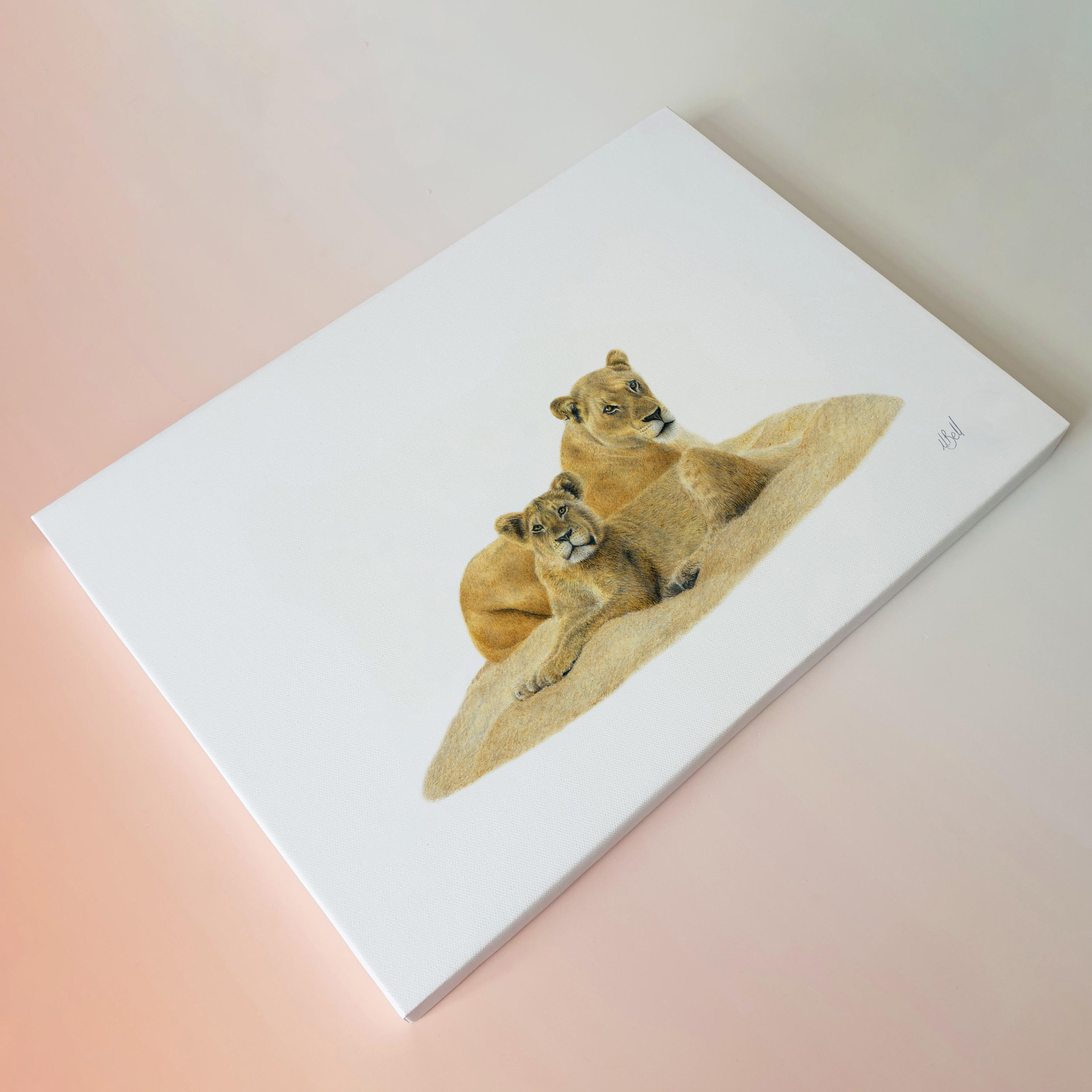 Matthew Bell wildlife South African art canvas artwork of two lions in the Sabi Sands game reserve