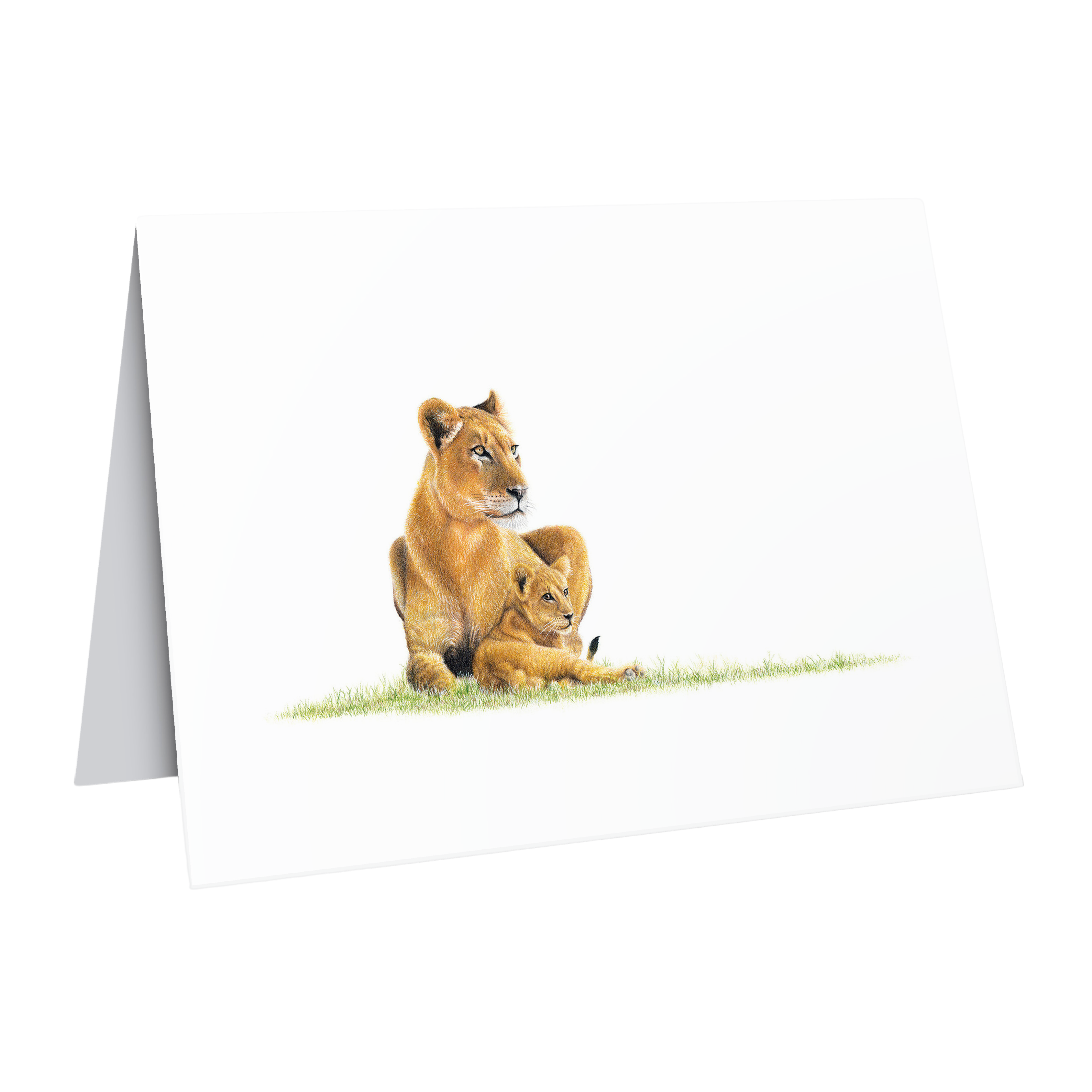 Beautiful fine art South African nature wildlife greeting card of a Lioness and cub